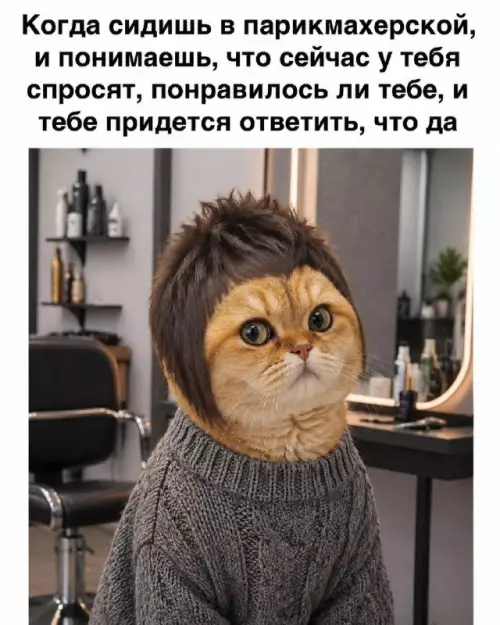 Смешная картинка №821811 парикмахерская