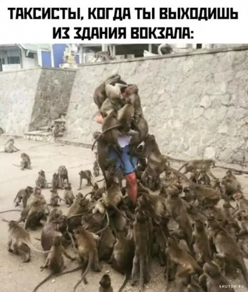 Смешная картинка №783037 таксисты