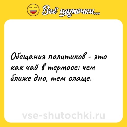 Шутка: Обещания политиков - это как чай в термосе: чем ближе дно, тем слаще.
