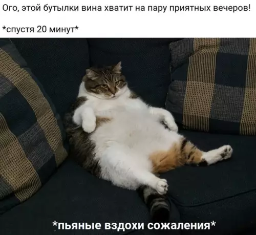 Смешная картинка №489586