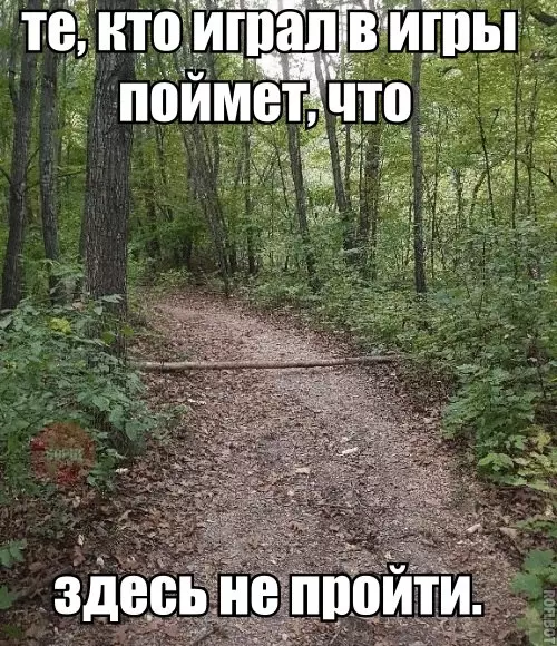 Смешная картинка №227986
