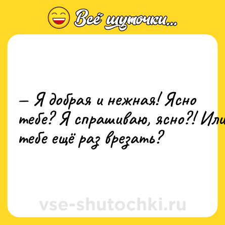 Шутка: — Я дoбpaя и нeжнaя! Яcнo тeбe? Я cпpaшивaю, яcнo?! Или тeбe eщё paз вpeзaть?