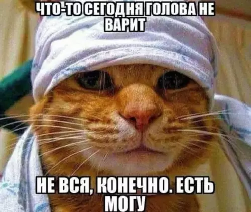 Когда мозг ушел в отпуск без предупреждения 🧠💤 - ЧТО-ТО СЕГОДНЯ ГОЛОВА НЕ ВАРИТ НЕ ВСЯ, КОНЕЧНО. ЕСТЬ МОГУ