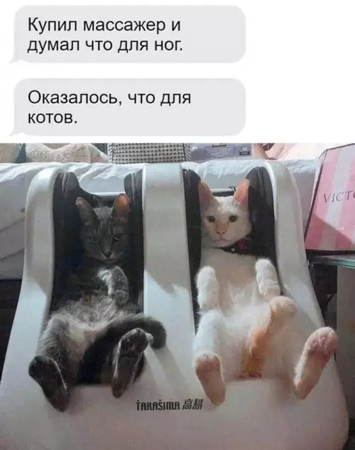 Смешная картинка №777201