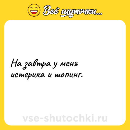 Шутка: На завтра у меня истерика и шопинг.
