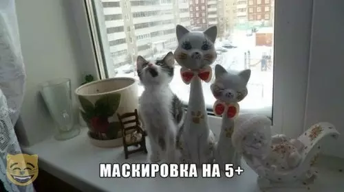 Смешная картинка №384012 #приколы #картинки #мемы ?