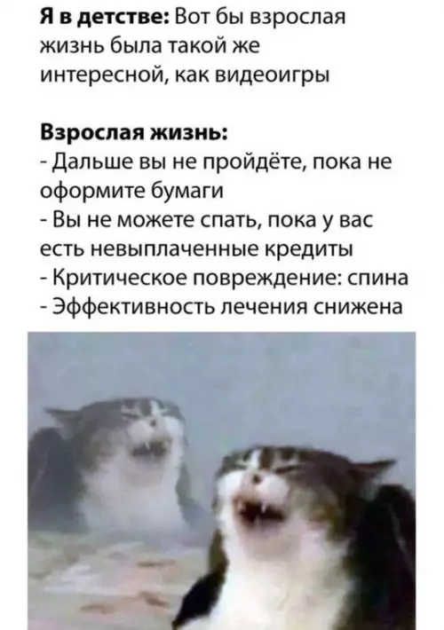 Смешная картинка №758391
