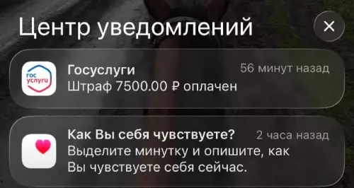 Госуслуги или психологический триллер? 😂 - Центр уведомлений Госуслуги 56 минут назад Штраф 7500.00 оплачен Как