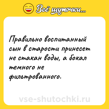 Шутка: Правильно воспитанный сын в старости принесет не стакан воды, а бокал темного не фильтрованного.
