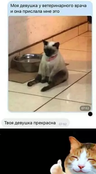 Смешная картинка №624884