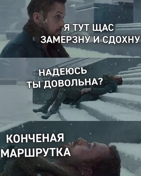 Смешная картинка №328977 И так каждый раз