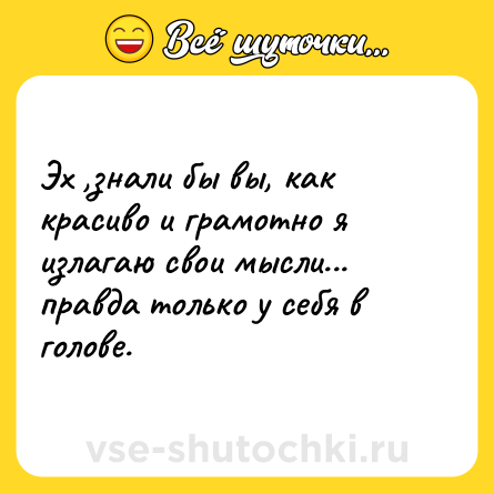 Шутка: Эх ,знали бы вы, как красиво и грамотно я излагаю свои мысли... правда только у себя в голове.