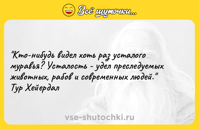 Цитата: Кто-нибудь видел хоть раз усталого муравья? Усталость - удел преследуемых животных, рабов и современных людей. Тур Хейердал