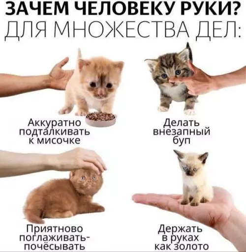 Зачем человеку руки?