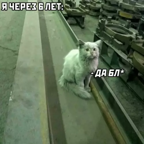 продолжение Смешная картинка №644275