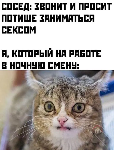 Смешная картинка №559904 Вот это па-па-паворот!