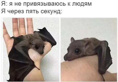 Смешная картинка №262473