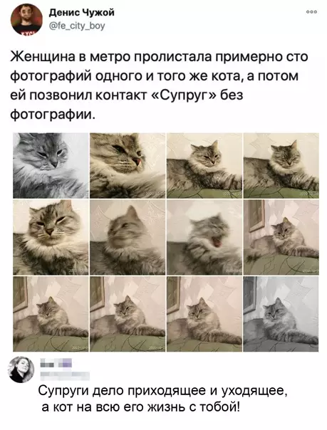 Смешная картинка №546959 Koтики - этo дpyгoe