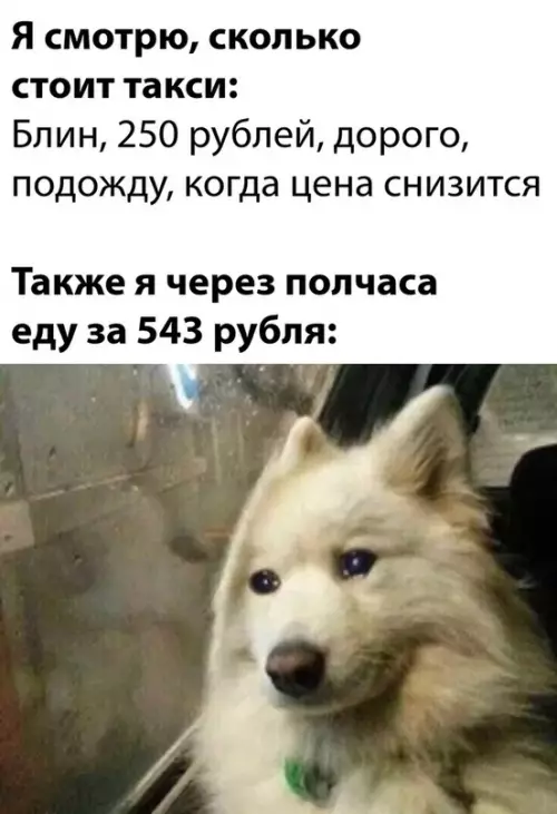 Смешная картинка №623094