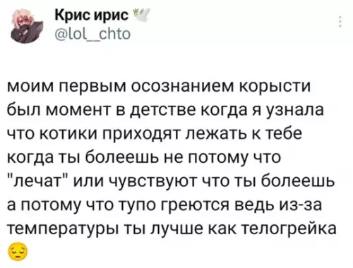 Смешная картинка №768806