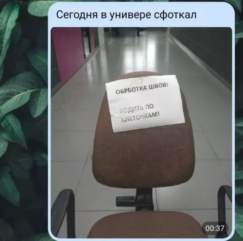 Смешная картинка №621782 Сразу видно, что в университете учатся грамотные люди