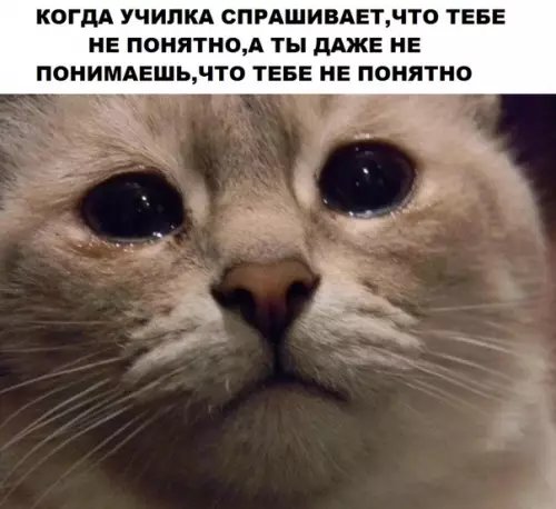 Смешная картинка №302299