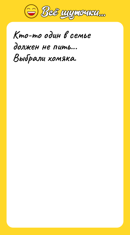 Кто-то один в семье должен не пить... Выбрали хомяка.