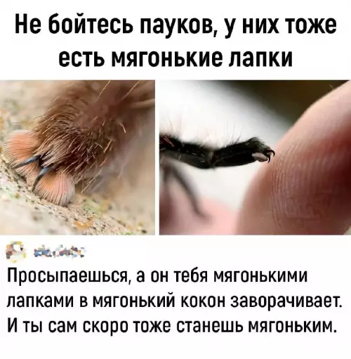 Смешная картинка №721713