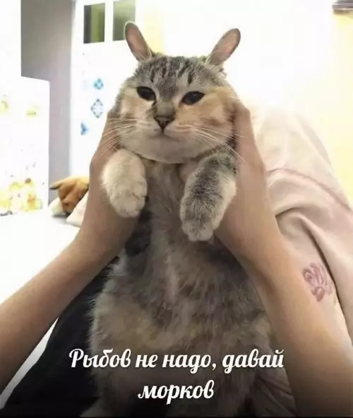 Смешная картинка №699408