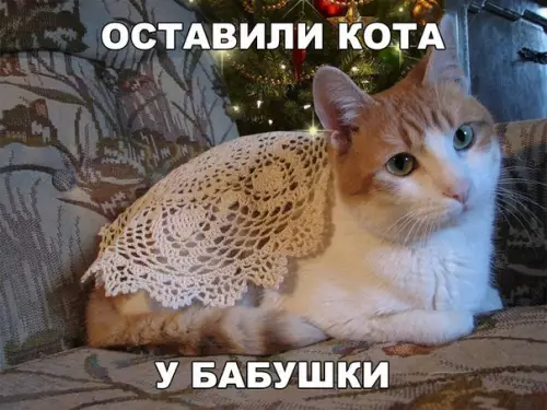 Смешная картинка №246746