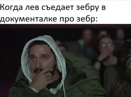 продолжение Смешная картинка №591764 И так каждый раз животные