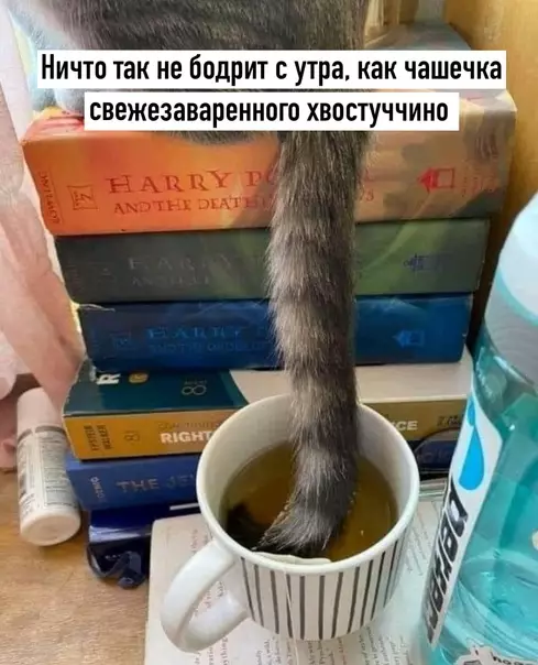 Смешная картинка №587345