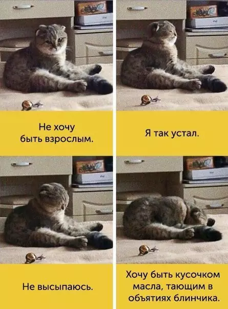 Смешная картинка №263471
