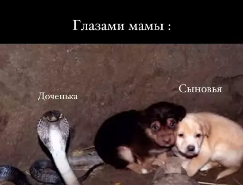 Когда мама пришла домой и увидела этот хаос 😂 - Глазами мамы : Доченька Сыновья