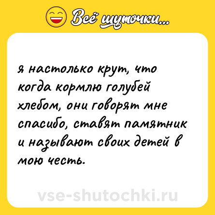 Шутка: я настолько крут, что когда кормлю голубей хлебом, они говорят мне спасибо, ставят памятник и называют своих детей в мою честь.