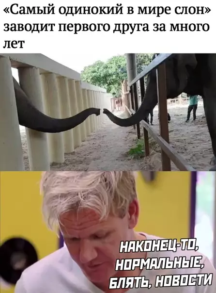 Смешная картинка №542095