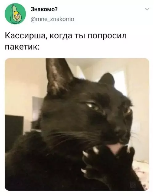 Тот самый взгляд кассирши 😼 - Кассирша, когда ты попросил пакетик: