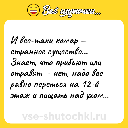 Шутка: И все-таки комар — странное существо... Знает, что прибьют или отравят — нет, надо все равно переться на 12-й этаж и пищать над ухом...