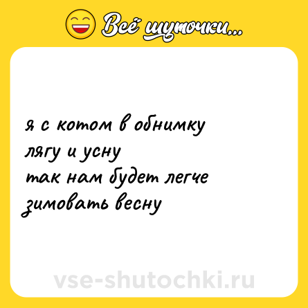 Шутка: я с котом в обнимку <br>лягу и усну<br>так нам будет легче<br>зимовать весну