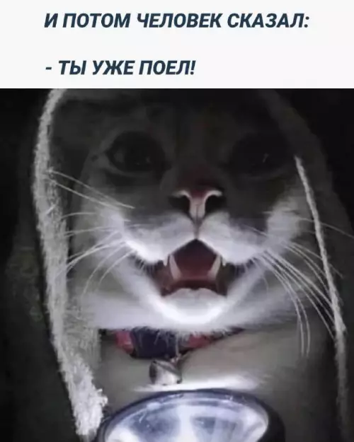 Смешная картинка №715097