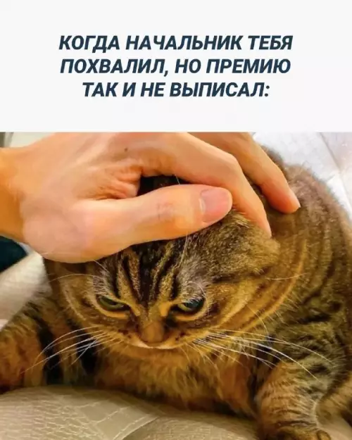 Смешная картинка №700390