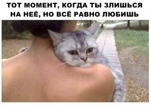 Смешная картинка №290418