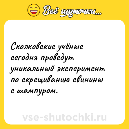 Шутка: Сколковские учёные сегодня проведут уникальный эксперимент по скрещиванию свинины с шампуром.