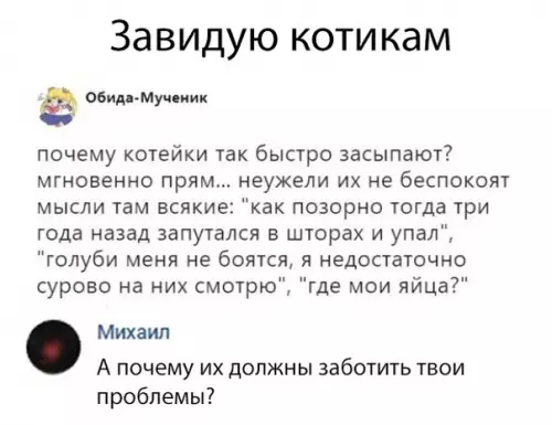 Смешная картинка №320927 кошки