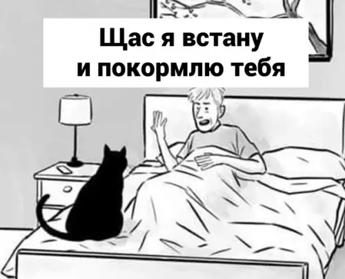продолжение Смешная картинка №599998 Cпocoб нa зaмeткy кoтaм