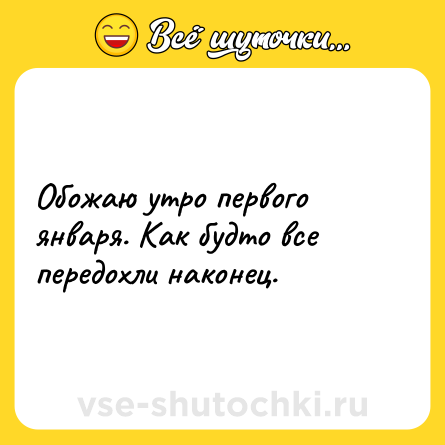 Шутка: Обожаю утро первого января. Как будто все передохли наконец.
