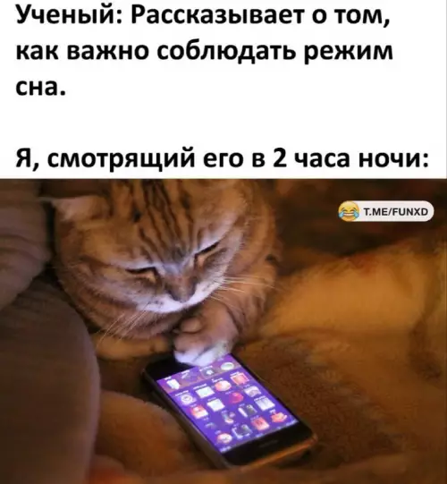 Смешная картинка №761109