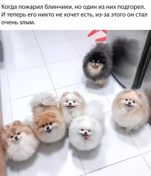 Смешная картинка №312743