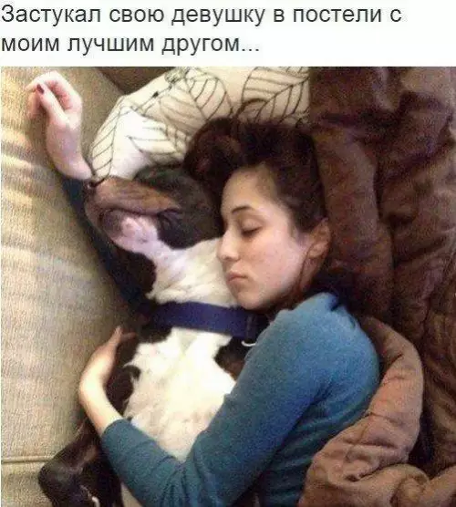 Смешная картинка №237397