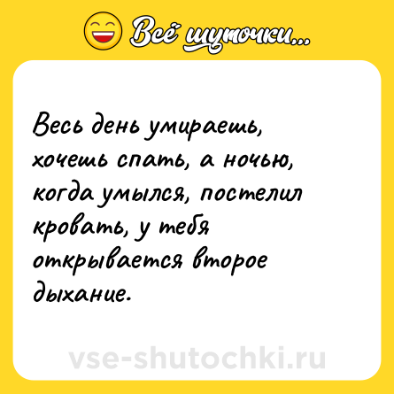 Шутка: Весь день умираешь, хочешь спать, а ночью, когда умылся, постелил кровать, у тебя открывается второе дыхание.